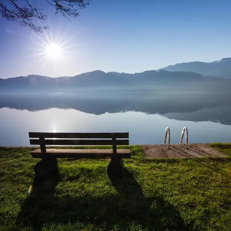 Restaurant Haeupl Hotel Seewalchen